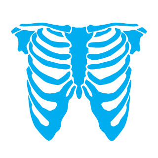 daidailaosepi's emblem