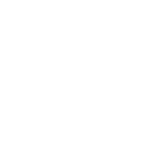 danikk55's emblem