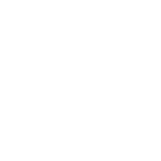 Domi1912's emblem