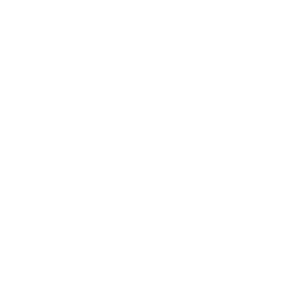 HERO-The-General's emblem