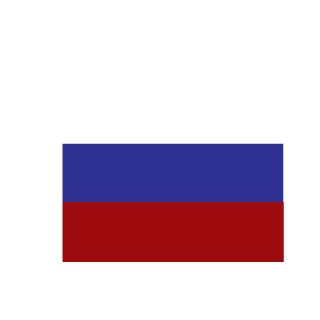 Bizaard's emblem