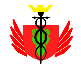iliaE1234's emblem