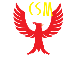 zmurfz69's emblem