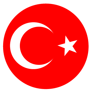 Turkish Gaming's emblem