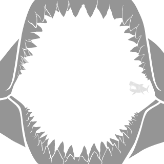 007punisher's emblem