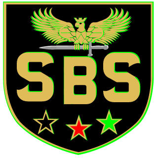 Stormlord70's emblem