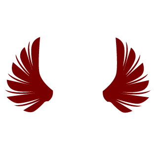 NightDuke1190's emblem