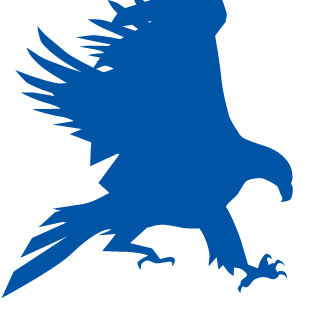 BlueHawk47's emblem