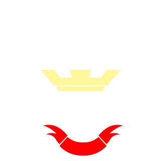 super0551's emblem