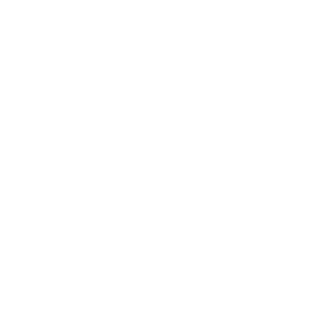 LionWrathz's emblem