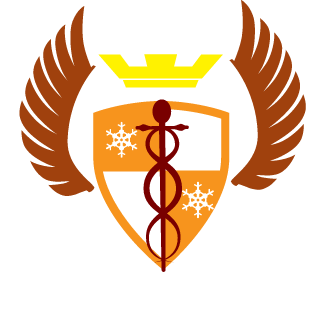SplashPenguim's emblem