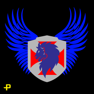 Zekrom_110's emblem