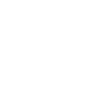 LIGHTNING1995's emblem
