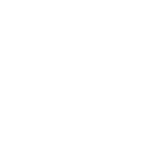 PPIRAO's emblem
