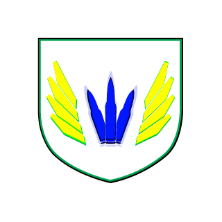IEnvol's emblem