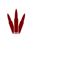 IDEFIX1981's emblem