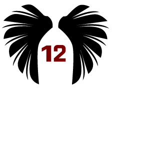 5Raziel3's emblem