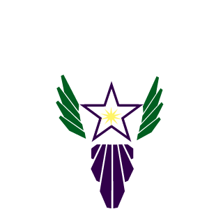 lllDarthVaderll's emblem