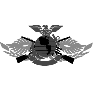 MedboX's emblem