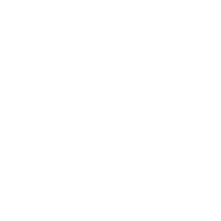 AngryDuck906's emblem
