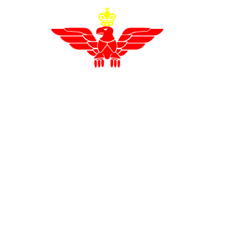 EdinRozajac's emblem