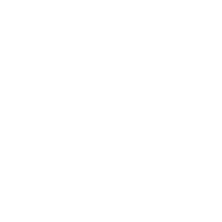 Modesto_PicaSeca's emblem