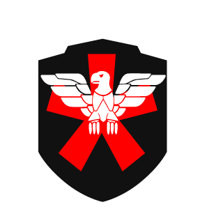Shad3_81's emblem