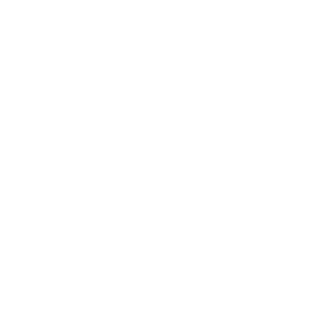 NANDDIIt's emblem