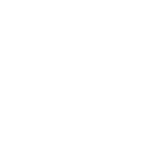 Skitz523's emblem