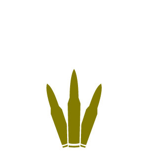 mangus777's emblem