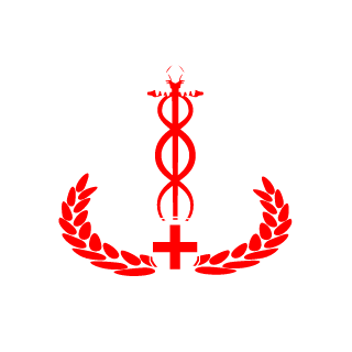11CHEAH11's emblem