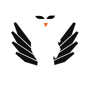 penguinguy240's emblem