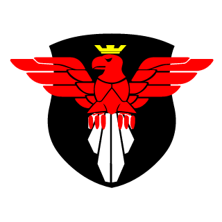 TopielecPL's emblem