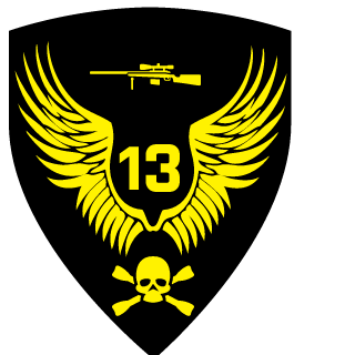 13_Ice_Wolf_13's emblem
