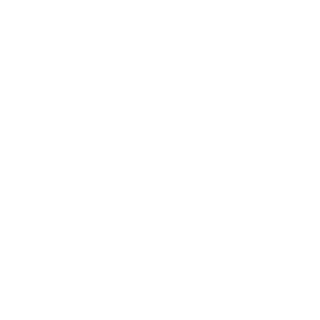 Simmi2461's emblem