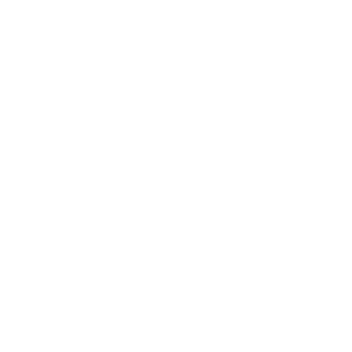 Proton_CamPro's emblem