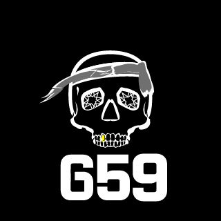 DavidElixirBF's emblem