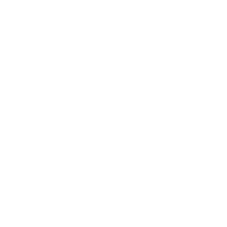 N1_Carhartt's emblem
