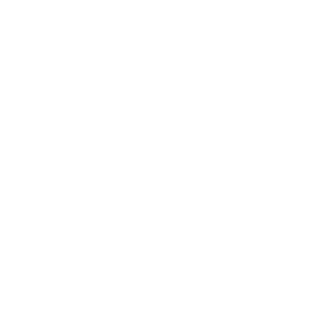 DokiDokiZYZ's emblem