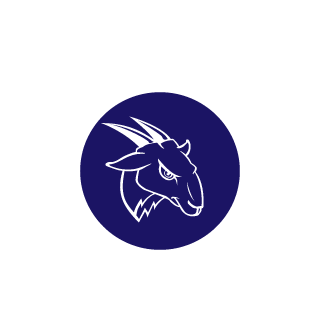 Anubis-Vodka's emblem
