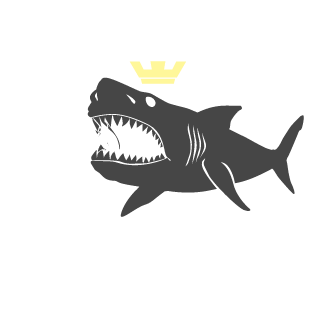 DTDSHAONIAN's emblem