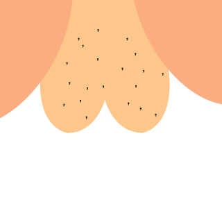 xXxWANTEDxXxS's emblem