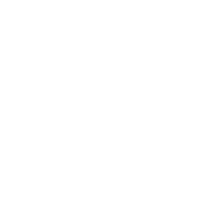 IlXiDlI's emblem