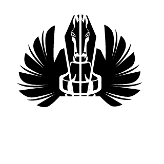 ElTacticoGoose's emblem