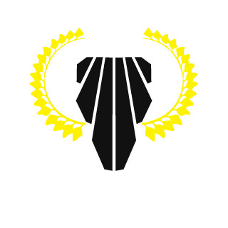 SanekTop's emblem