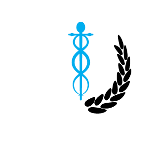 1028Ryuuitiru's emblem
