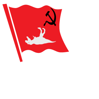 madoy24's emblem