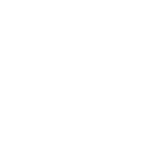 BlueMan282's emblem