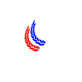 ILSUR-RUS-'s emblem