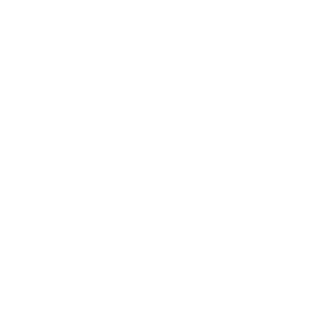 PaulinhuhhBR66's emblem